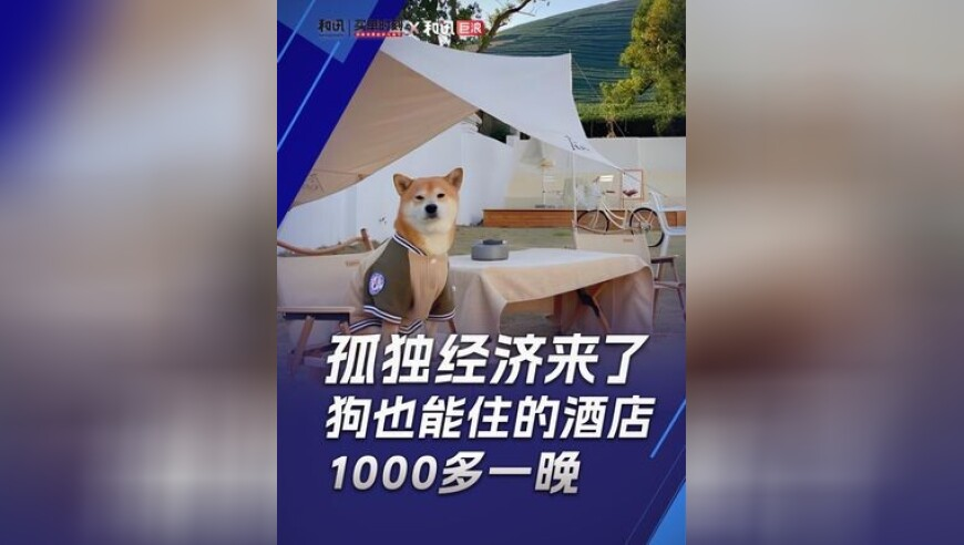 新澳门内部资料精准大全网站,麦家说DeepSeek的问题是没法写得差,决策资料解释落实_精简版V9.50