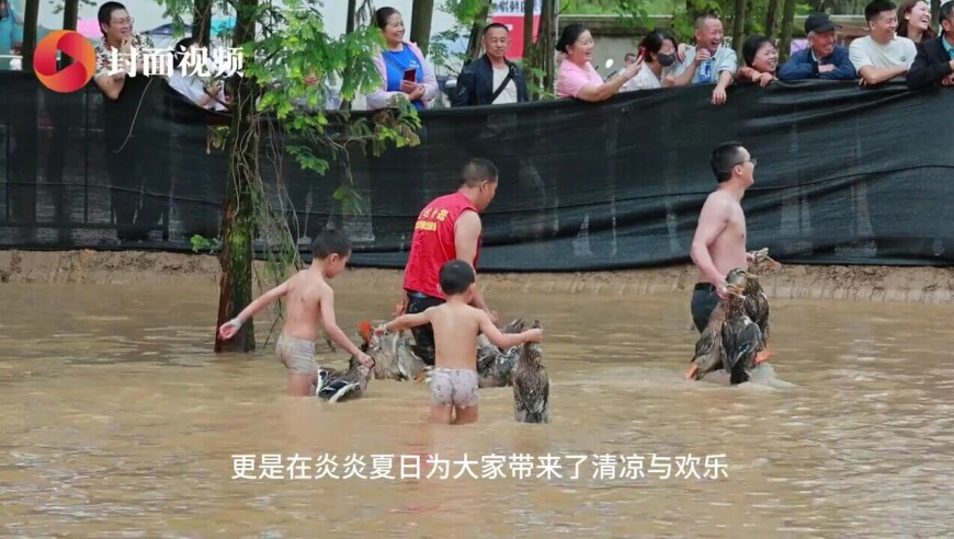 香港澳门资料大全正版资料2025年免费新,英特尔任命新任CEO,前瞻性战略落实探讨_手游版V2.64