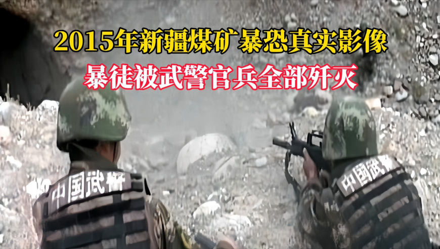 甄子丹回怼台媒提问,2025年香港最准四像四不像图,创造力策略实施推广_创意版V14.70